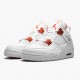 Nike Air Jordan 4 Retro Metallic Orange Dam/Herr CT8527-118 Skor