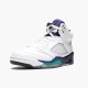 Nike Air Jordan 5 Retro Grape Herr 136027-108 Skor